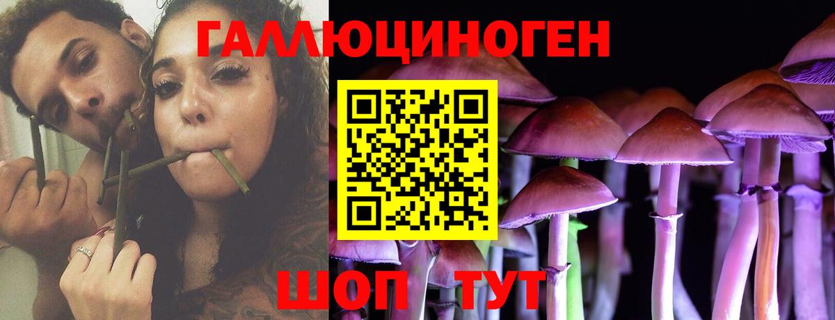 Псилоцибиновые грибы мицелий  Псилоцибиновые грибы GOLDEN TEACHER  Вход с VPN  Богородск 